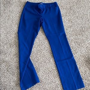 Cobalt blue Express Editor Pant